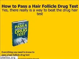 Sites similar to athomedrugtest.net