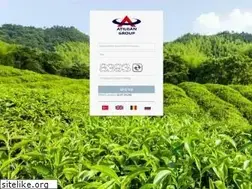 Sites similar to atilgan.online