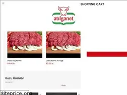 Sites similar to atilganet.com.tr