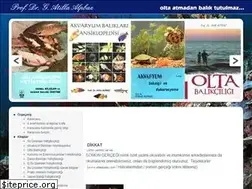 Sites similar to atillaalpbaz.com