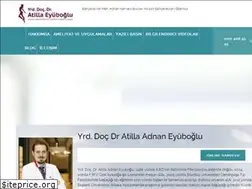 Sites similar to atillaeyuboglu.com