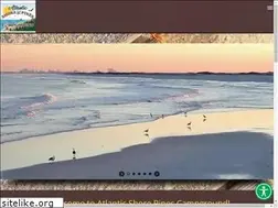 Sites similar to atlanticshorepines.com