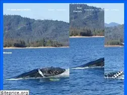 Sites similar to atlanticwatersports.com