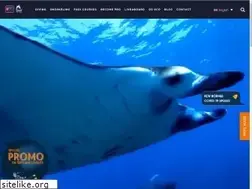 Sites similar to atlantis-bali-diving.com