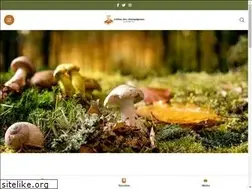 Sites similar to atlas-des-champignons.com