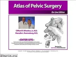 Sites similar to atlasofpelvicsurgery.com