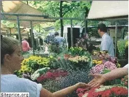 Sites similar to atlasvanstolk.nl
