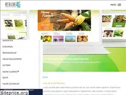Sites similar to atolye45.com