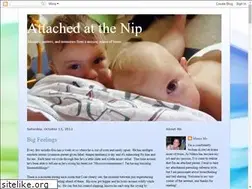Sites similar to attachedatthenip.blogspot.com