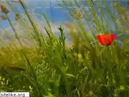 Sites similar to attekovacs.com