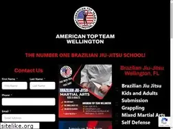 Sites similar to attwellington.com