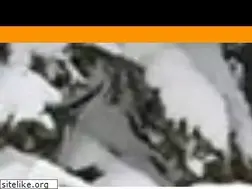 Sites similar to atv-extreme.ru