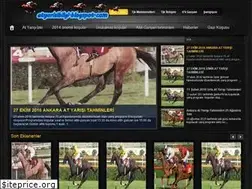 Sites similar to atyarisibilgi.blogspot.com