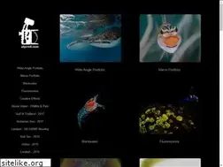 Sites similar to atyrrell.com