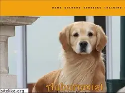 Sites similar to auburnmist.com