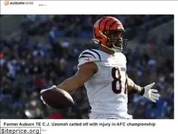 Sites similar to auburnwire.usatoday.com