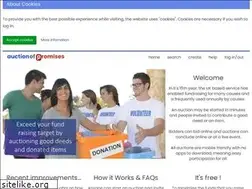 Sites similar to auctionofpromises.com
