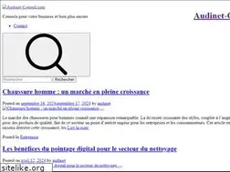 Sites similar to audinet-conseil.com
