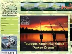 Sites similar to auksozvynas.lt