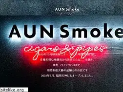 Sites similar to aun-smoke.com