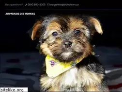 Sites similar to auparadisdesmorkies.com