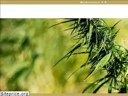 Sites similar to auracbdoil.com