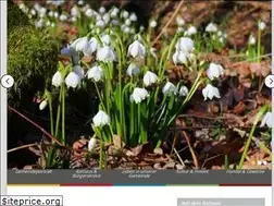 Sites similar to aurach.de