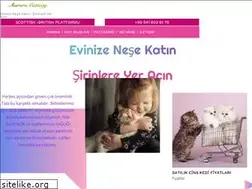 Sites similar to aurora-cattery.com
