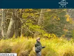 Sites similar to ausableflyfishing.com