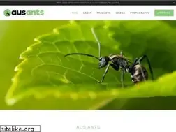Sites similar to ausants.net