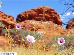 Sites similar to ausflowers.com.au
