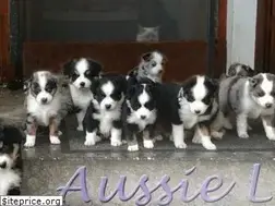 Sites similar to aussielove.de