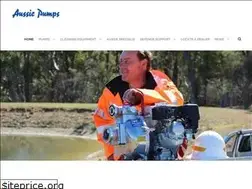 Sites similar to aussiepumps.com.au