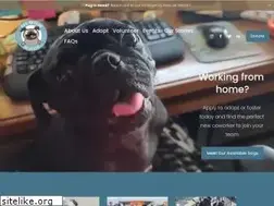 Sites similar to austinpugrescue.com