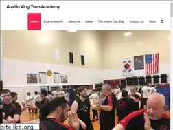 Sites similar to austinvtkungfu.com