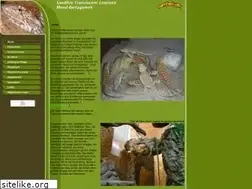 Sites similar to australian-reptiles.de
