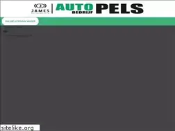 Sites similar to autobedrijfpels.nl