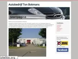 Sites similar to autobedrijftonbokmans.nl