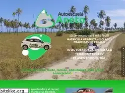 Sites similar to autoescuelaaneto.com