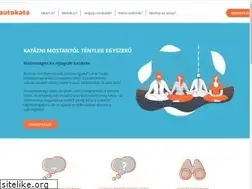 Sites similar to autokata.hu