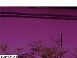 Sites similar to autopotcc.com