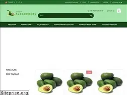 Sites similar to avakadodunyasi.com