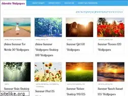 Sites similar to avante.biz