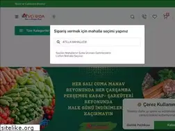 Sites similar to avcikapida.com