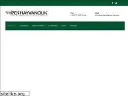 Sites similar to avcilaradakkurban.net