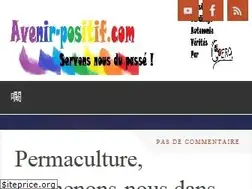 Sites similar to avenir-positif.com