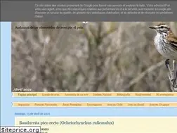 Sites similar to aves-argentina.blogspot.com