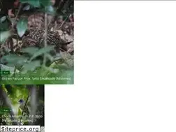 Sites similar to avesenfoco.com.ar