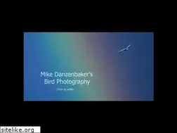 Sites similar to avesphoto.com