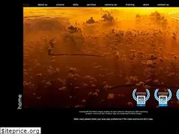 Sites similar to aviaeye.com
